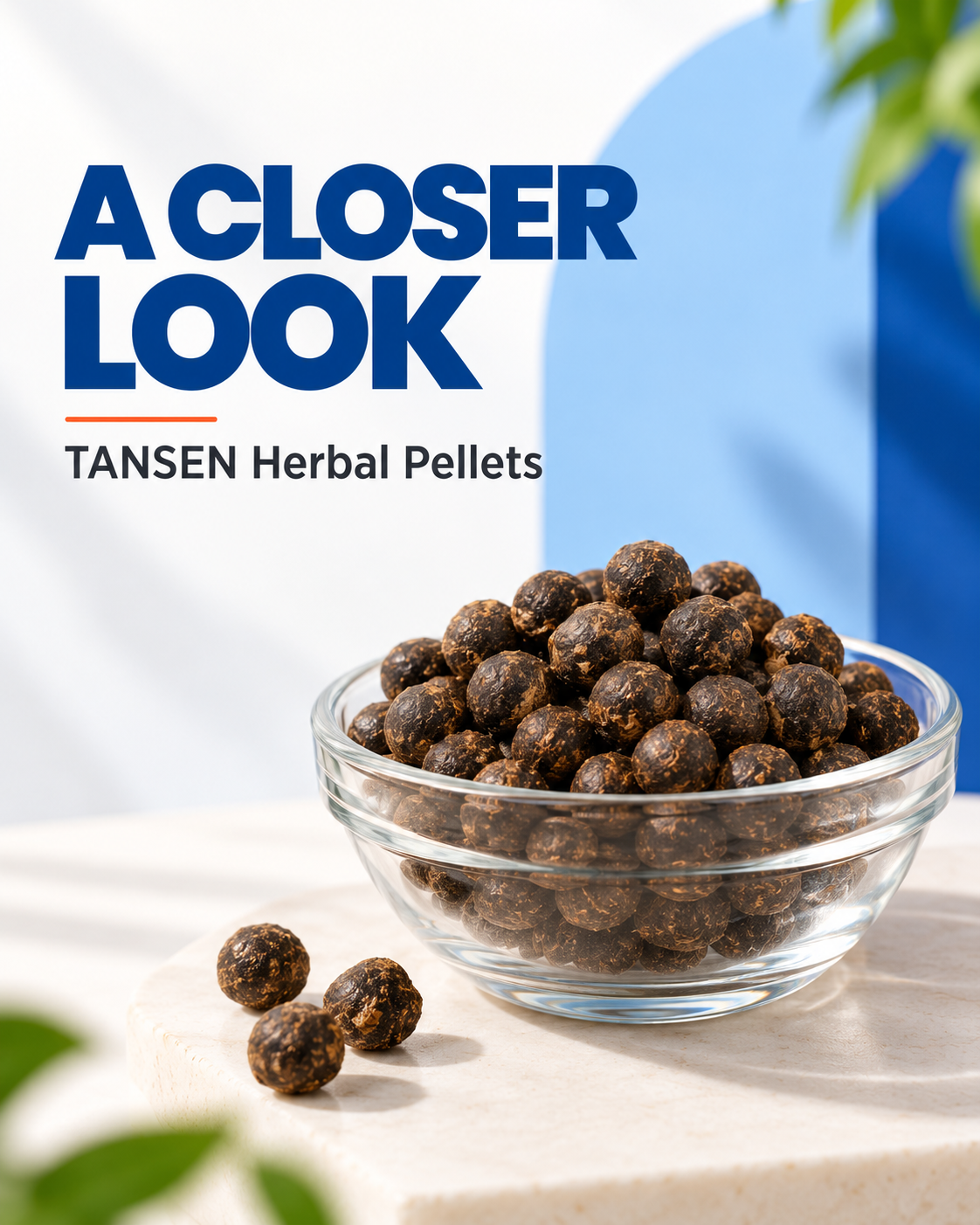 Tansen